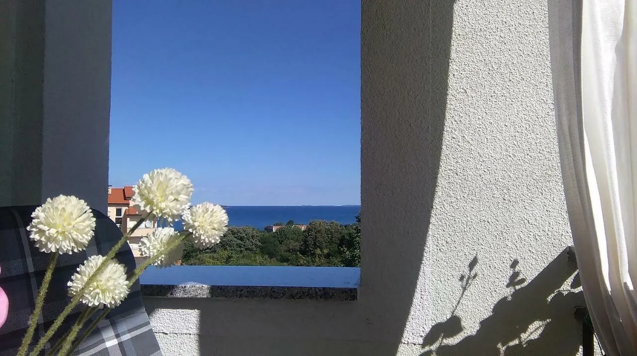Guesthouse Adria Pula 3*,